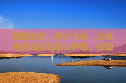 绿茵逐梦，警心飞扬，公安系统足球赛盛大开幕，绿茵逐梦，警心飞扬，公安系统足球赛盛大开幕