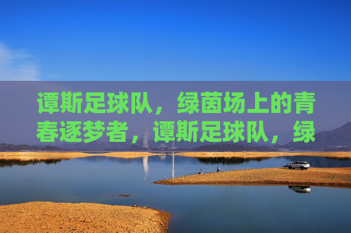 谭斯足球队，绿茵场上的青春逐梦者，谭斯足球队，绿茵场上的青春逐梦者