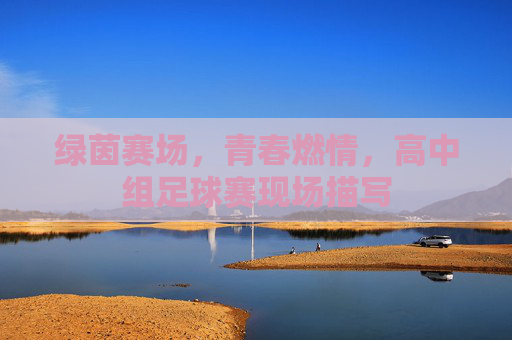 绿茵赛场,青春燃情,高中组足球赛现场描写