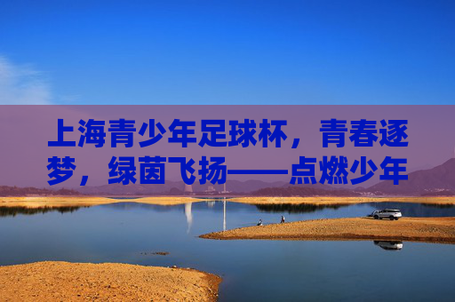 上海青少年足球杯，青春逐梦，绿茵飞扬——点燃少年足球激情的璀璨星火