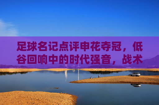 足球名记点评申花夺冠,低谷回响中的时代强音,战术智慧与团队精神的完美融合