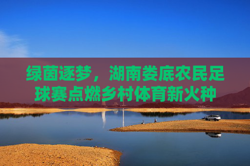 绿茵逐梦,湖南娄底农民足球赛点燃乡村体育新火种