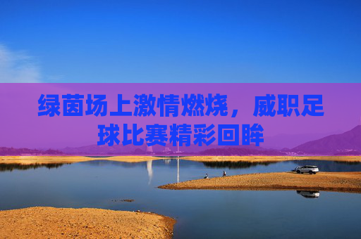 绿茵场上激情燃烧,威职足球比赛精彩回眸
