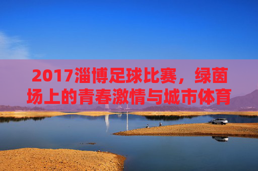 2017淄博足球比赛,绿茵场上的青春激情与城市体育记忆