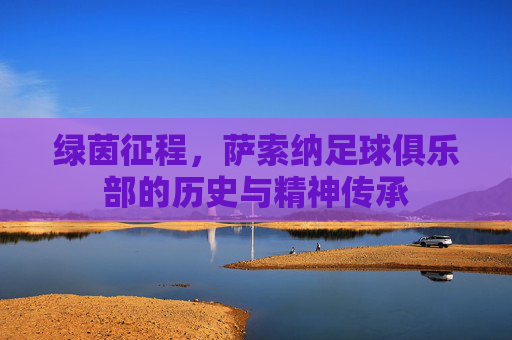 绿茵征程，萨索纳足球俱乐部的历史与精神传承