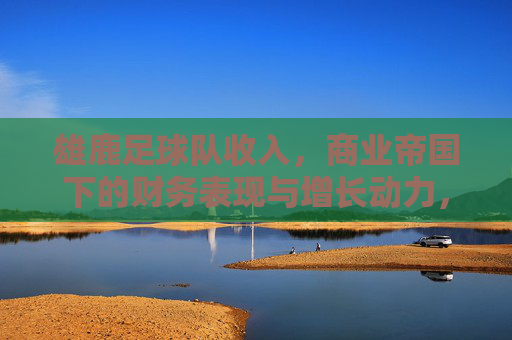 雄鹿足球队收入，商业帝国下的财务表现与增长动力，雄鹿足球队收入，商业帝国下的财务表现与增长动力
