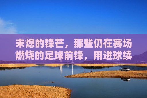 未熄的锋芒，那些仍在赛场燃烧的足球前锋，用进球续写传奇，未熄的锋芒，仍在赛场燃烧的足球前锋，用进球续写传奇