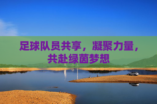 足球队员共享,凝聚力量,共赴绿茵梦想