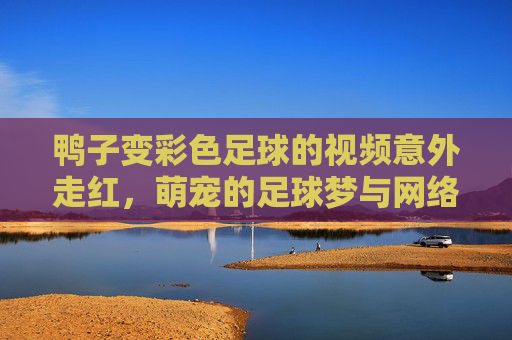 鸭子变彩色足球的视频意外走红，萌宠的足球梦与网络狂欢