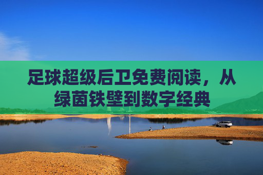 足球超级后卫免费阅读,从绿茵铁壁到数字经典