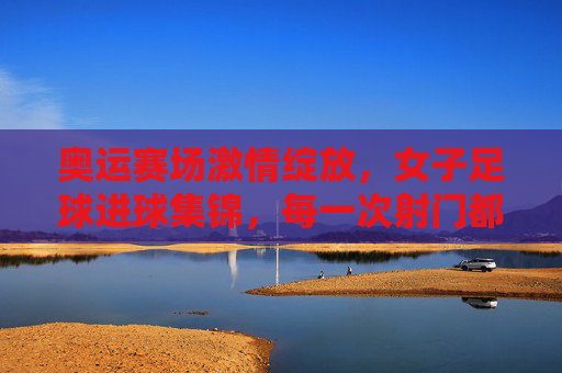 奥运赛场激情绽放,女子足球进球集锦,每一次射门都是对梦想的诠释