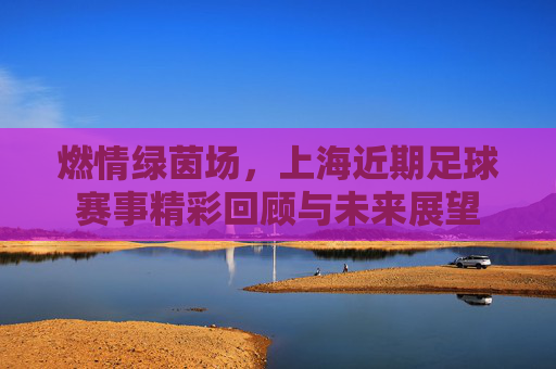 燃情绿茵场，上海近期足球赛事精彩回顾与未来展望