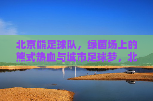 北京熊足球队,绿茵场上的熊式热血与城市足球梦,北京熊足球队,绿茵场上的熊式热血与城市足球梦