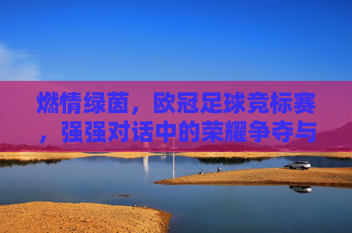 燃情绿茵，欧冠足球竞标赛，强强对话中的荣耀争夺与激情绽放，燃情绿茵，欧冠足球竞标赛，强强对话中的荣耀争夺与激情绽放