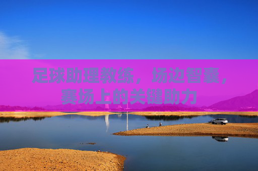 足球助理教练,场边智囊,赛场上的关键助力