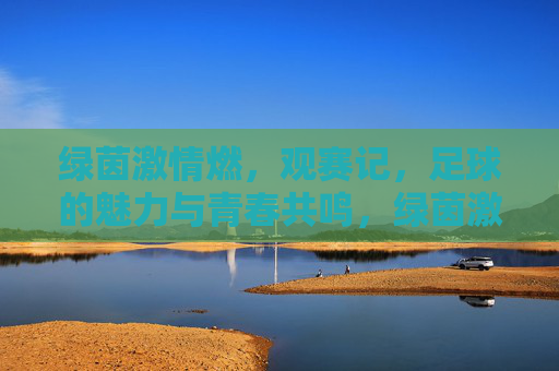 绿茵激情燃，观赛记，足球的魅力与青春共鸣，绿茵激情燃，足球的魅力与青春共鸣观赛记
