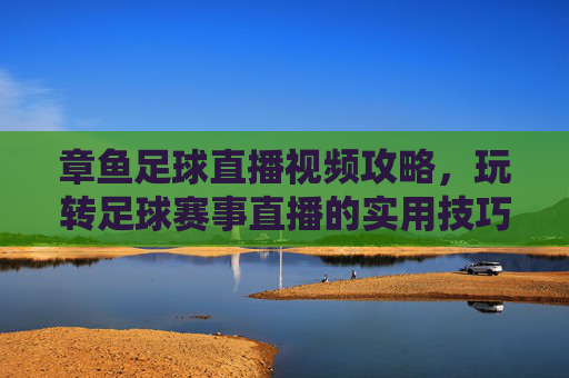 章鱼足球直播视频攻略，玩转足球赛事直播的实用技巧，章鱼足球直播视频攻略，玩转足球赛事直播的实用技巧