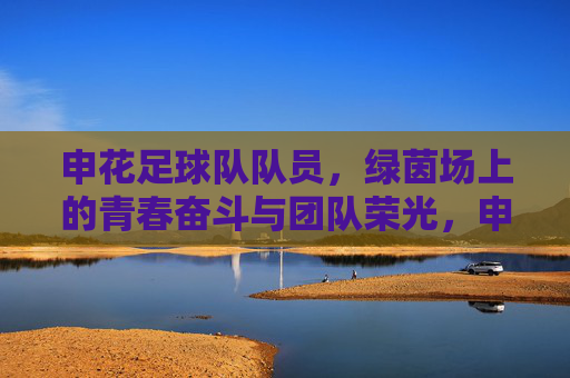 申花足球队队员，绿茵场上的青春奋斗与团队荣光，申花足球队队员，绿茵场上的青春奋斗与团队荣光