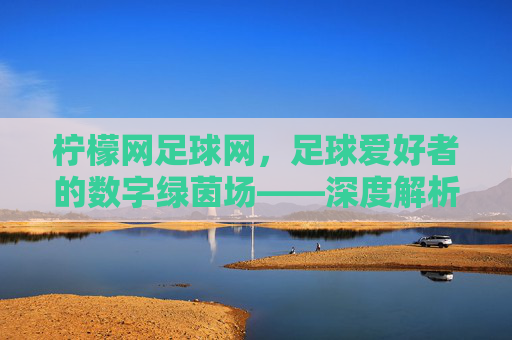 柠檬网足球网,足球爱好者的数字绿茵场——深度解析平台特色与价值,柠檬网足球网,足球爱好者的数字绿茵场——深度解析平台特色与价值
