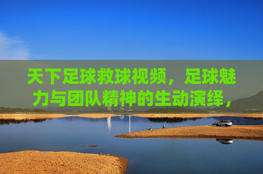 天下足球救球视频，足球魅力与团队精神的生动演绎，天下足球救球视频，足球魅力与团队精神的生动演绎