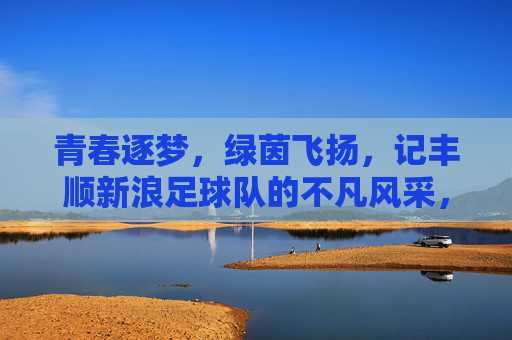 青春逐梦，绿茵飞扬，记丰顺新浪足球队的不凡风采，青春逐梦，绿茵飞扬，记丰顺新浪足球队的不凡风采