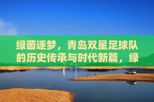 绿茵逐梦，青岛双星足球队的历史传承与时代新篇，绿茵逐梦，青岛双星足球队的历史传承与时代新篇
