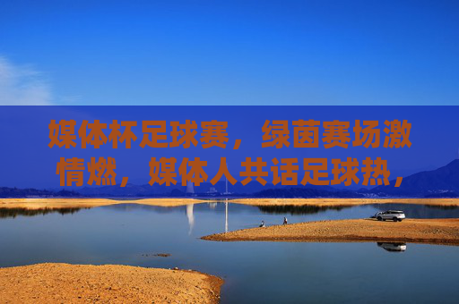 媒体杯足球赛,绿茵赛场激情燃,媒体人共话足球热,媒体杯足球赛,绿茵赛场激情燃,媒体人共话足球热