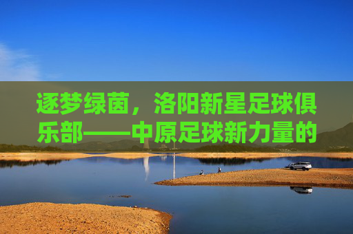 逐梦绿茵,洛阳新星足球俱乐部——中原足球新力量的崛起与希望,逐梦绿茵,洛阳新星足球俱乐部——中原足球新力量的崛起与希望
