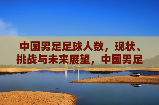中国男足足球人数,现状、挑战与未来展望,中国男足足球人数,现状、挑战与未来展望