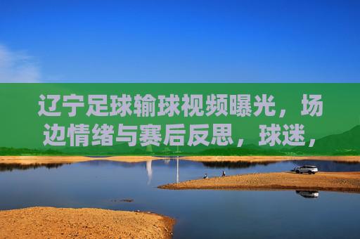 辽宁足球输球视频曝光，场边情绪与赛后反思，球迷，这届辽足太难了，辽宁足球输球视频曝光，场边情绪与赛后反思，球迷感叹这届辽足太难了