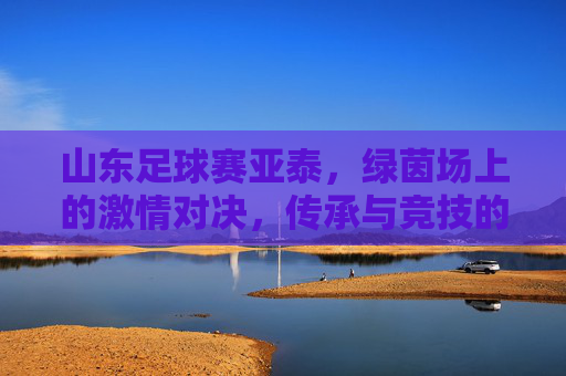 山东足球赛亚泰,绿茵场上的激情对决,传承与竞技的碰撞,山东足球赛场激战亚泰,绿茵激情对决,传承与竞技的碰撞
