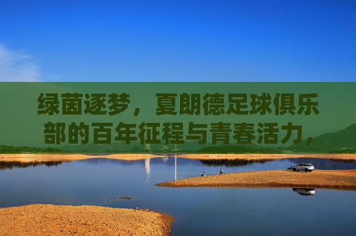 绿茵逐梦，夏朗德足球俱乐部的百年征程与青春活力，绿茵逐梦，夏朗德足球俱乐部的百年征程与青春活力
