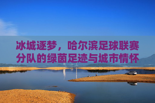冰城逐梦,哈尔滨足球联赛分队的绿茵足迹与城市情怀