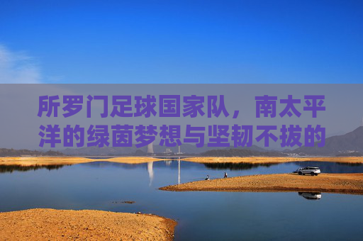 所罗门足球国家队,南太平洋的绿茵梦想与坚韧不拔的团队精神,所罗门足球国家队,南太平洋的绿茵梦想与坚韧不拔的团队精神