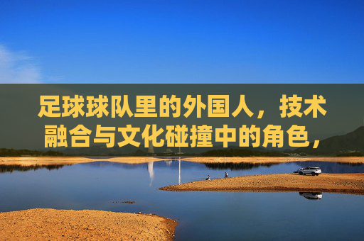 足球球队里的外国人,技术融合与文化碰撞中的角色,足球球队里的外国人,技术融合与文化碰撞的角色