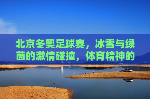 北京冬奥足球赛，冰雪与绿茵的激情碰撞，体育精神的新篇章，北京冬奥足球赛，冰雪与绿茵的激情碰撞，体育精神的新篇章