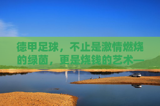德甲足球，不止是激情燃烧的绿茵，更是烧钱的艺术——从转会费到球迷消费的全方位成本解密，德甲足球的烧钱艺术，从转会费到球迷消费的全方位成本解密