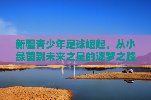 新疆青少年足球崛起，从小绿茵到未来之星的逐梦之路——最新进展报道，新疆青少年足球崛起，从小绿茵到未来之星的逐梦之路——最新进展报道
