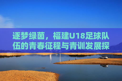 逐梦绿茵,福建U18足球队伍的青春征程与青训发展探析