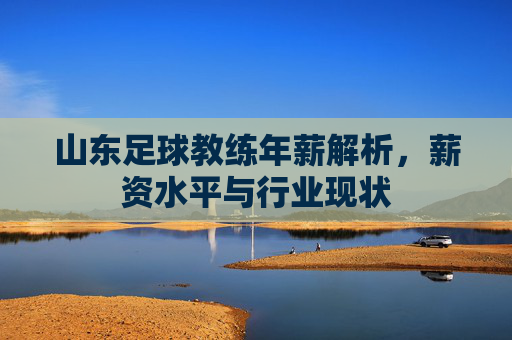 山东足球教练年薪解析,薪资水平与行业现状