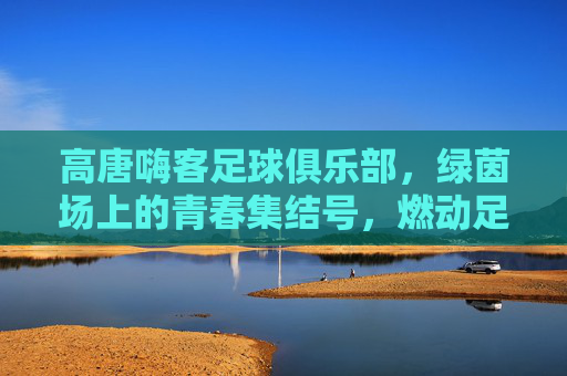高唐嗨客足球俱乐部，绿茵场上的青春集结号，燃动足球热情的嗨客力量