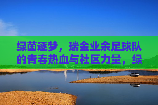 绿茵逐梦，瑞金业余足球队的青春热血与社区力量，绿茵逐梦，瑞金业余足球队的青春热血与社区力量