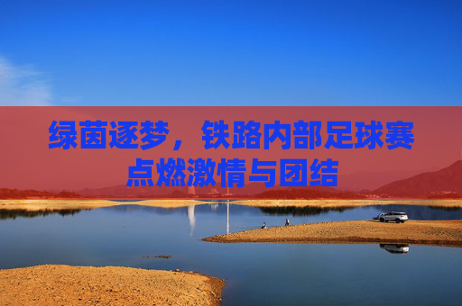绿茵逐梦,铁路内部足球赛点燃激情与团结