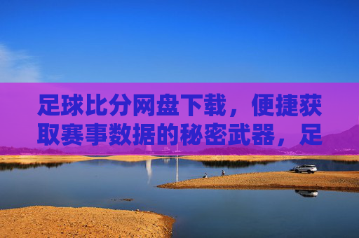 足球比分网盘下载，便捷获取赛事数据的秘密武器，足球比分网盘下载，便捷获取赛事数据的秘密武器
