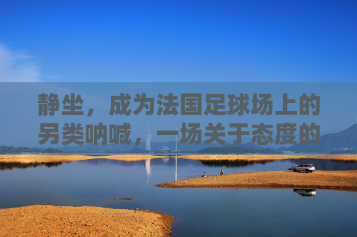 静坐,成为法国足球场上的另类呐喊,一场关于态度的较量,静坐,法国足球场上的另类呐喊与态度较量