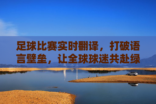 足球比赛实时翻译,打破语言壁垒,让全球球迷共赴绿茵狂欢