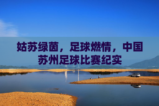 姑苏绿茵,足球燃情,中国苏州足球比赛纪实