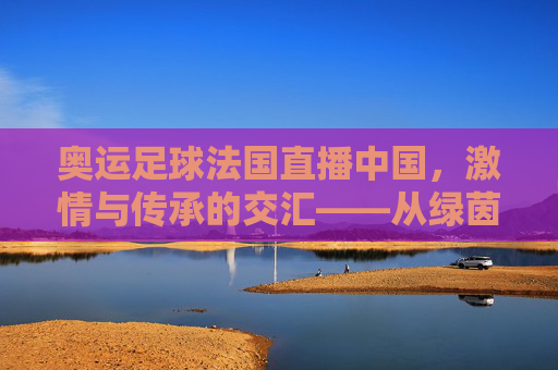 奥运足球法国直播中国，激情与传承的交汇——从绿茵赛场到屏幕前的中国观赛热潮