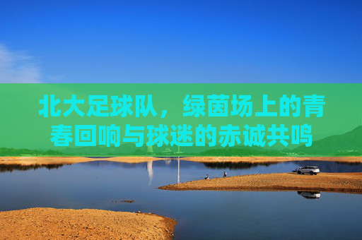 北大足球队，绿茵场上的青春回响与球迷的赤诚共鸣