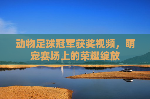 动物足球冠军获奖视频，萌宠赛场上的荣耀绽放